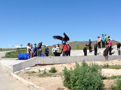 Grupo de personas en un paisaje abierto, algunos sosteniendo aves rapaces.
