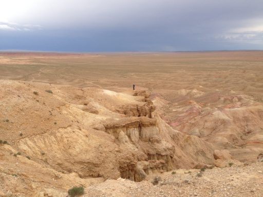 Paisaje árido con formaciones rocosas y una persona en un acantilado. Cielo nublado.